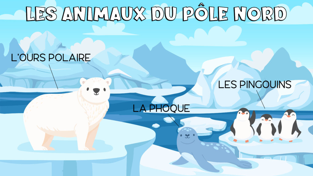 Los animales del polo norte en francés