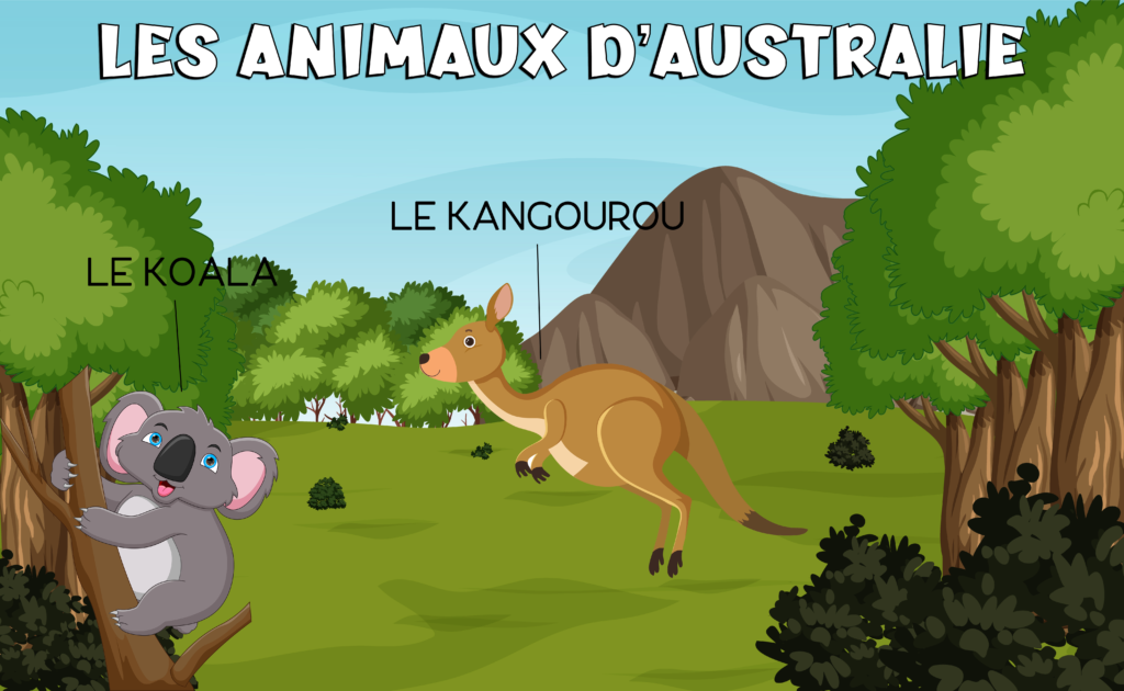 Los animales de Australia en francés