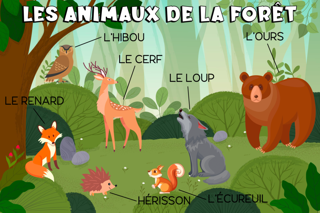 Los animales del bosque en francés