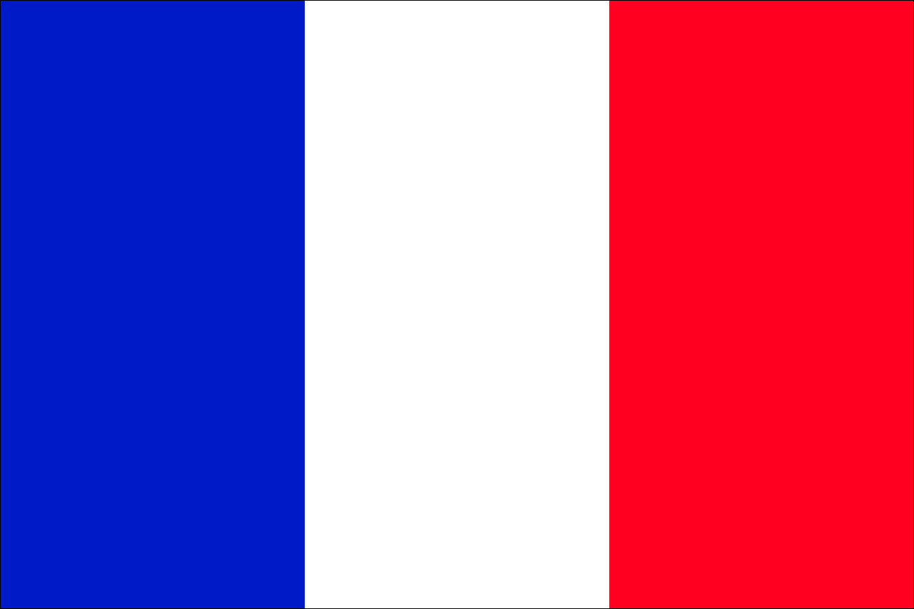 Bandera de Francia de Peques Français