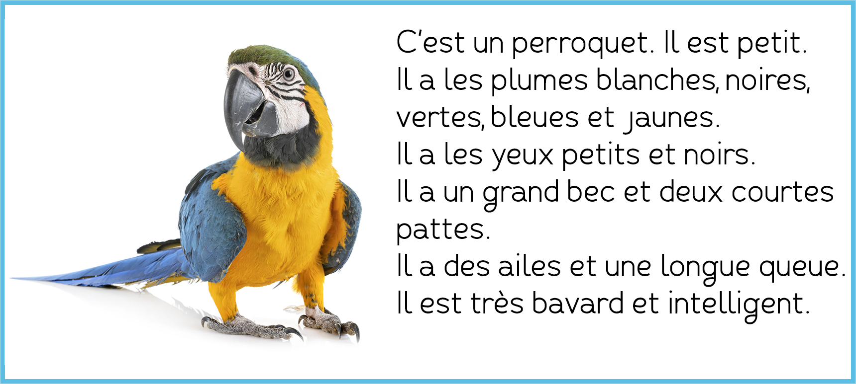 https://xn--pequesfranais-rgb.com/la-description-des-animaux/