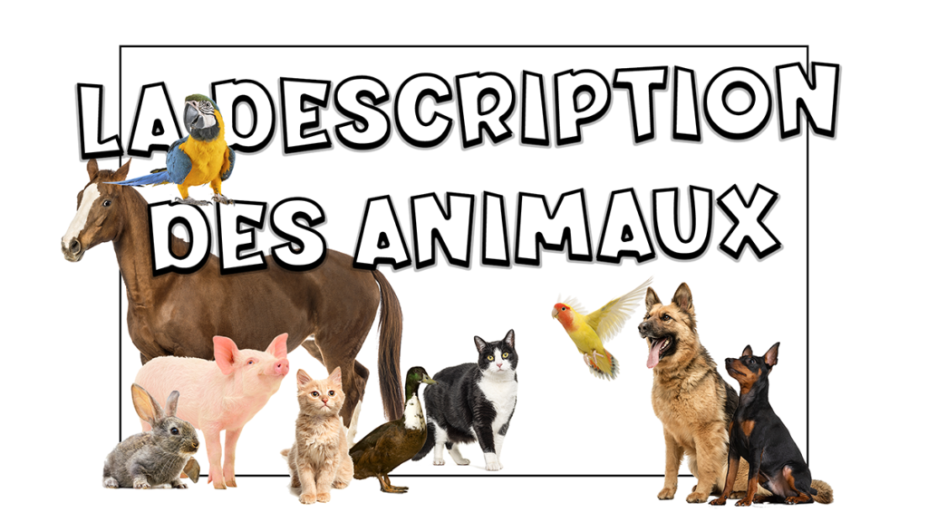Descripción de los animales en francés